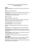 Competitors Ingredients - Natural Qualities Index