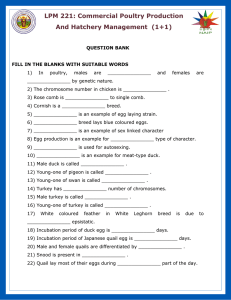 LPM 221: Commercial Poultry Production And Hatchery
