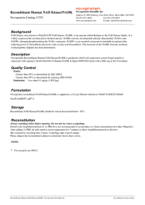 Recombinant Human NAD Kinase/NADK|C270|NADK_Human