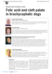 Folic Acid and Cleft Palate in Brachycephalic Dogs. In: Waltham