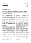 SM-20, EGL-9, and the EGLN Family of Hypoxia