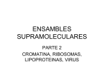 ensambles supramoleculares