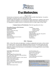 Excitotoxins - Sletten Wellness