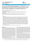 A review of polioencephalomalacia in ruminants
