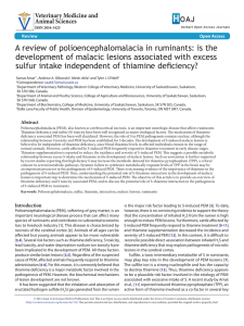 A review of polioencephalomalacia in ruminants