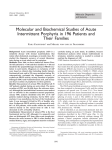 Molecular and Biochemical Studies of Acute Intermittent Porphyria in