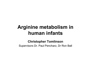 Arginine metabolism in human infants