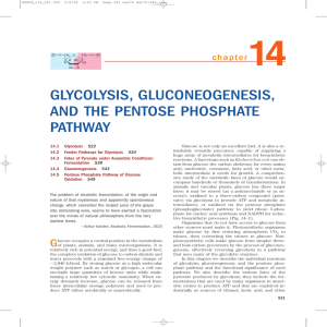glycolysis, gluconeogenesis, and the pentose phosphate pathway