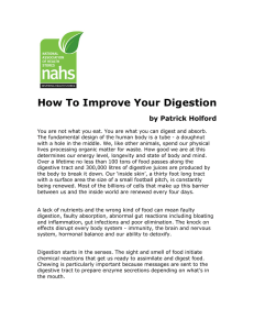 How To Improve Your Digestion
