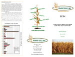 Zein Brochure with table - corn stalk 042209 (3) (Read