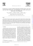 Pseudomonas aeruginosa B-band lipopolysaccharide genes wbpA