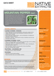 MOUNTAIN PEPPER (leaf) - in
