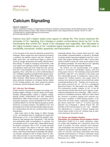 Calcium Signaling. Cell 131: 1047