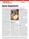 Equine Supplements