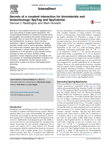 SpyTag and SpyCatcher - Department of Biochemistry