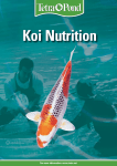 Koi Nutrition