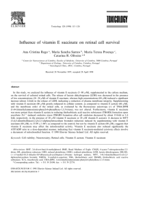 Influence of vitamin E succinate on retinal cell survival