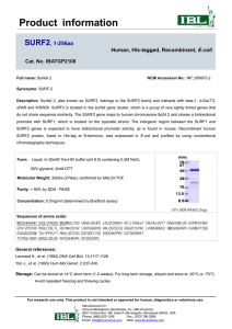 Datasheet - IBL