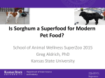 sorghum`s application in pet food formulations