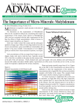 The Importance of Micro-Minerals: Molybdenum - Agri-King