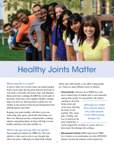 Healthy Joints Matter What exactly is a joint?