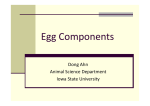 Egg Components Dong Ahn Animal Science Department Iowa State University