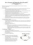 How to Recognize and Manage Flea Allergy Dermatitis?