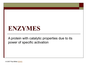 ENZYMES A protein with catalytic properties due to its