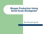 Biogas Production Using Small Scale Biodigester By Shunpei Iguchi