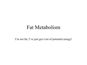 Fat Metabolism