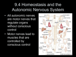 9.4 Homeostasis and the Autonomic Nervous System