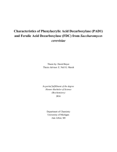 Characteristics of Phenylacrylic Acid Decarboxylase