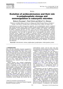 Evolution of acidocalcisomes and their role in polyphosphate