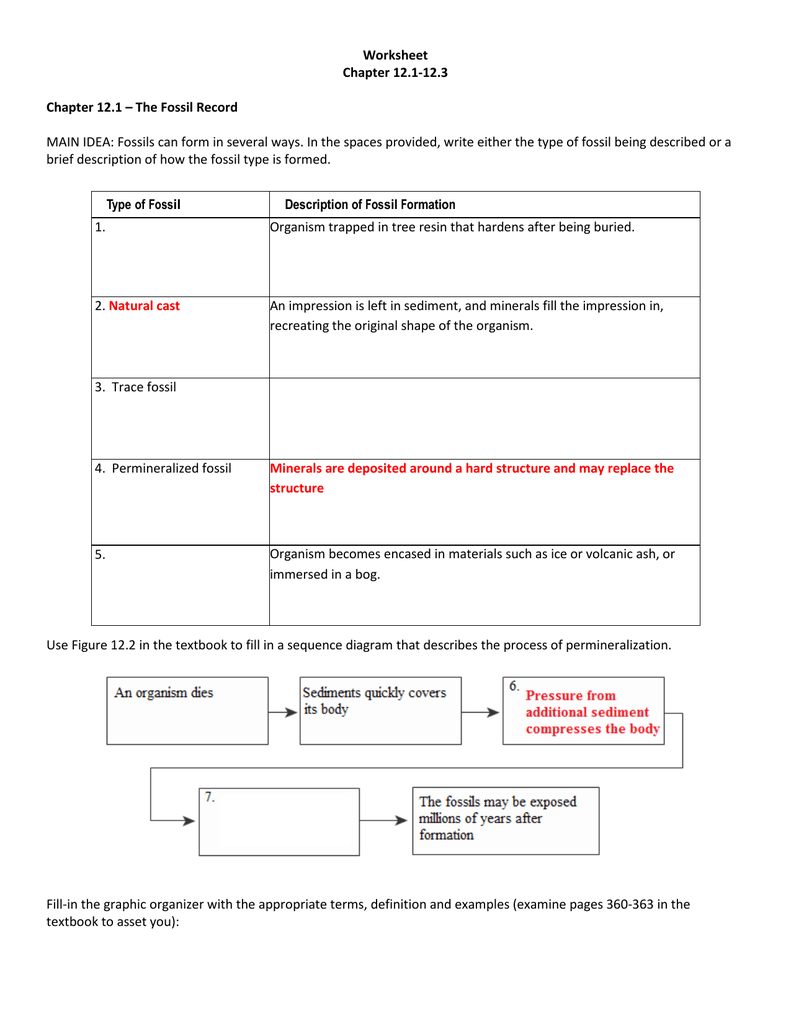 fossil-record-worksheet-answers-ivuyteq