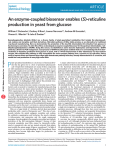 an enzyme-coupled biosensor enables (S)