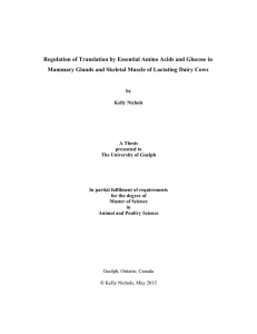 Regulation of Translation by Essential Amino Acids and Glucose in