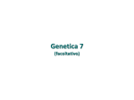 Genetica 7 - Università degli Studi di Verona