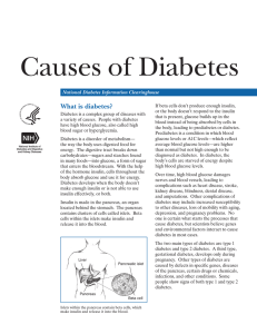 Causes of Diabetes - National Institute of Diabetes and Digestive