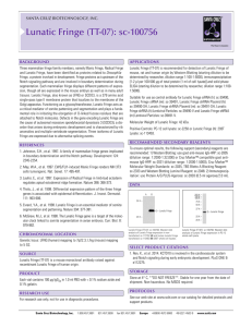 Datasheet - Santa Cruz Biotechnology, Inc.