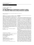 The IML3/ MCM19 gene of Saccharomyces cerevisiae is required