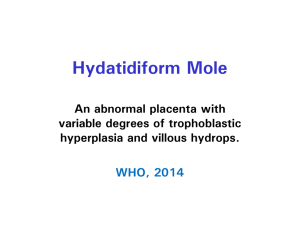 Contemporary Diagnosis of Hydatidiform Mole