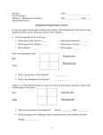 HW-Monohybrid Practice Seals and Guthry WS