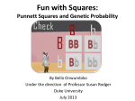 Fun with Squares: Punnett Squares and Genetic