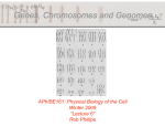 APh/BE161: Physical Biology of the Cell Winter