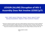 LEDGIN (ALLINI) Disruphon of HIV-‐1 Assembly Does Not Involve