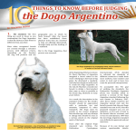 the Dogo Argentino