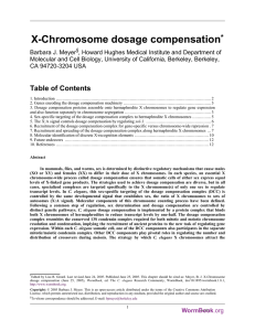 X-Chromosome dosage compensation
