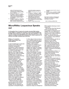 MicroRNAs: Loquacious Speaks out