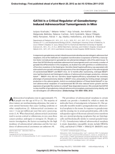 Induced Adrenocortical Tumorigenesis in Mice