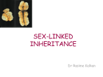 SEX-LINKED INHERITANCE